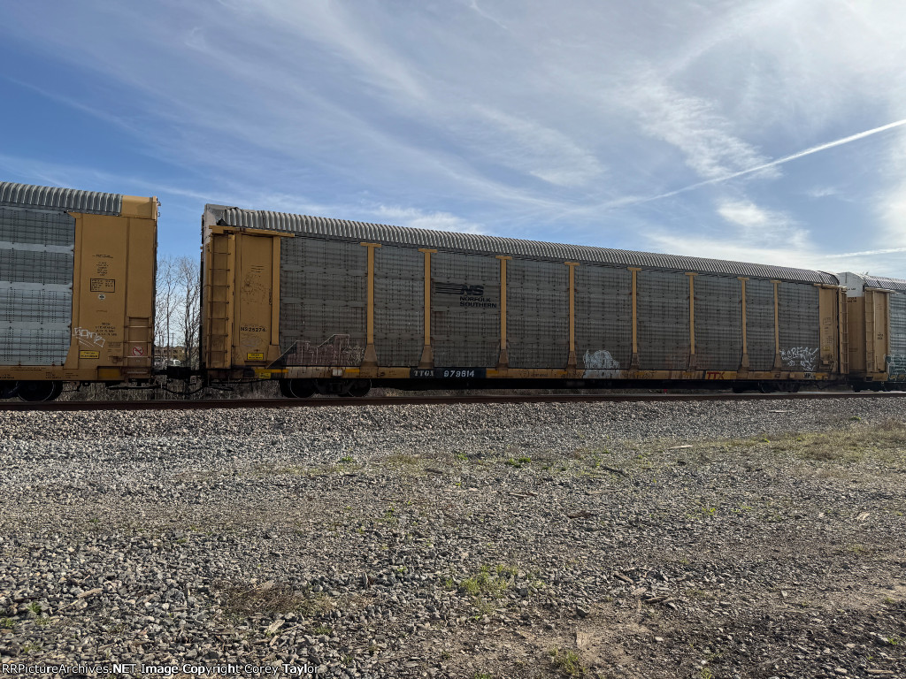 TTGX 979614